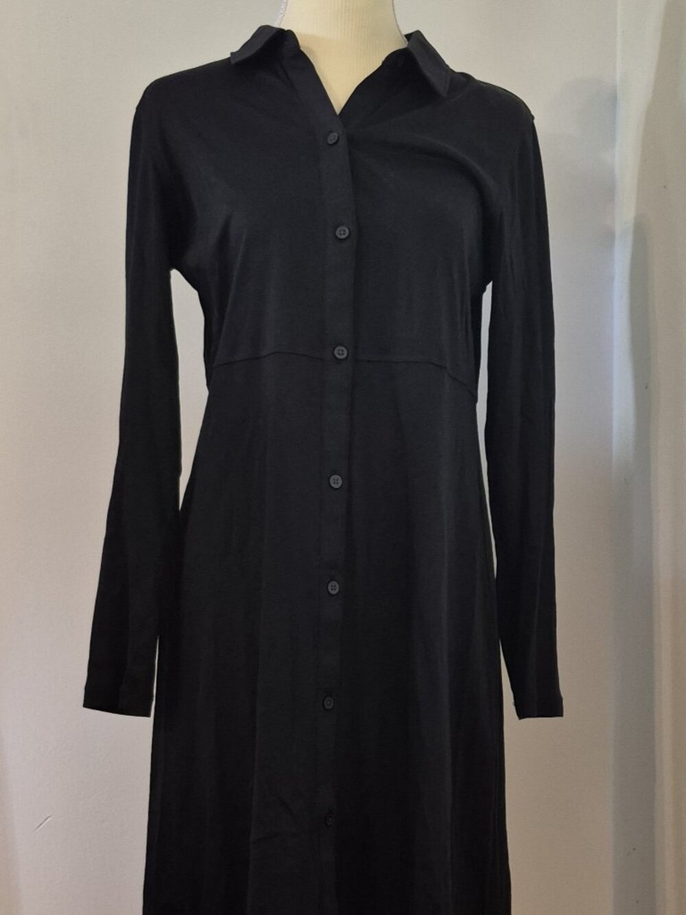 Everlane The Luxe Cotton Shirtdress S 90s Minimalist Modest Goth Dark Academia
